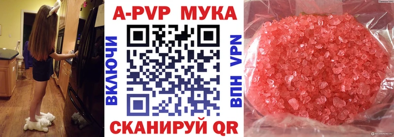 Купить  Кашин  А ПВП СК 