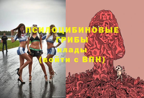спиды Михайловск